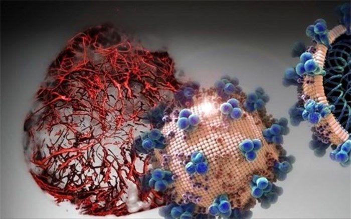 تعداد فوتی‌های کرونا در البرز به ۵۸۶ نفر رسید