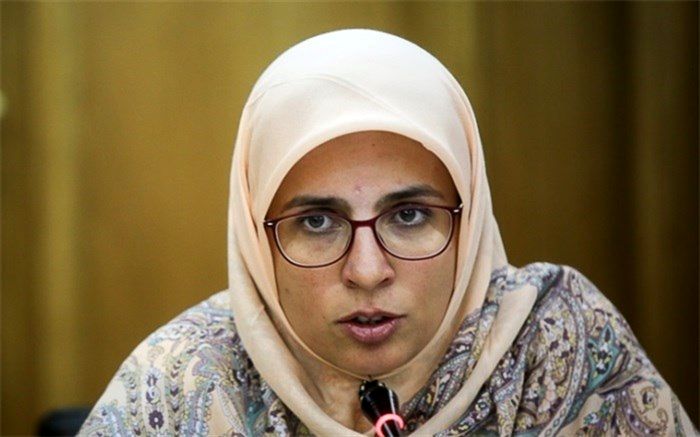 آروین: اصرار بر یک تبصره نباید باعث اجرا نشدن مصوبه پارک حاشیه‌ای شود 