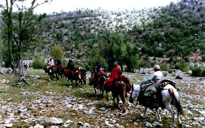 کوچ مکانیزه از ابتلای عشایر به کرونا جلوگیری کرد