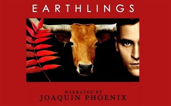 فراخوان توئیتری رئیس‌جمهور برای دیدن یک مستند به گروگان‌گیری عجیب اوکراین پایان داد