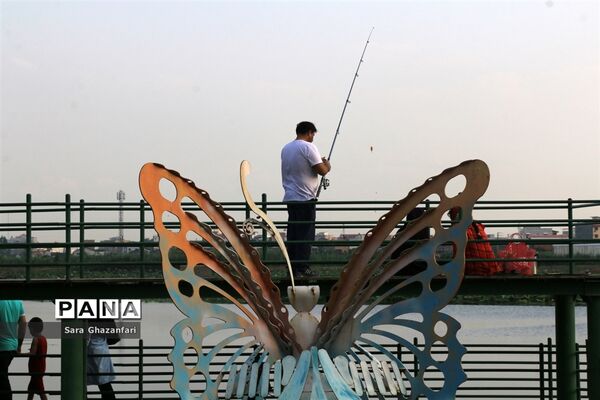 تالاب نیلوفر آبی بابل