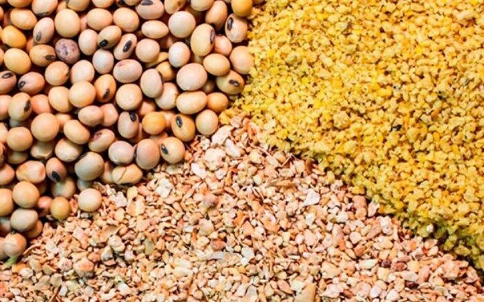 کاهش ۳۱ درصدی واردات نهاده‌های دامی