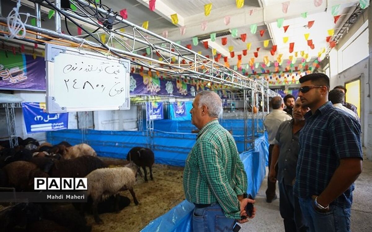 هشدار سخنگوی وزارت بهداشت: احتمال شیوع بیماری از طریق ذبح دام در منازل و معابر عمومی