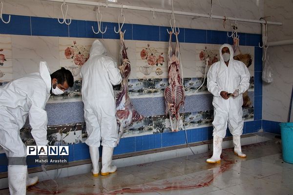 دیدارمسئولان از قربانگاه های شهرستان خوسف در عید قربان