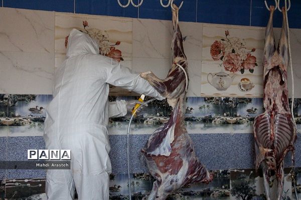 دیدارمسئولان از قربانگاه های شهرستان خوسف در عید قربان