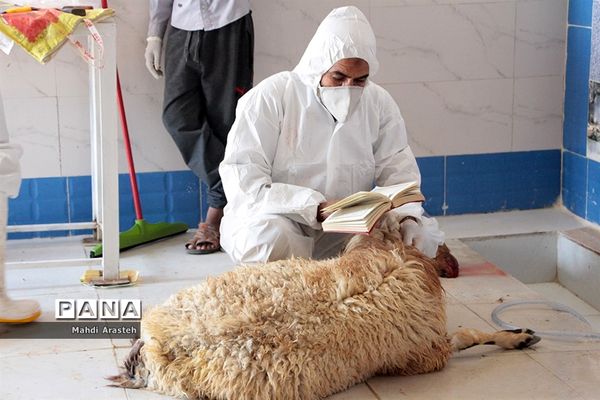 دیدارمسئولان از قربانگاه های شهرستان خوسف در عید قربان