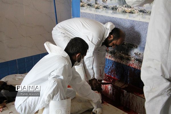 دیدارمسئولان از قربانگاه های شهرستان خوسف در عید قربان