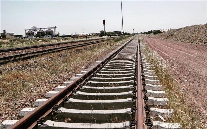 هدی شادی زاده: مستند «کاکتوس ها دیگر گل نمی دهند» در مراحل نهایی