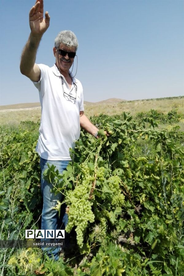 اولین مجموعه باغ نخبه استان فارس درشهر مشکان