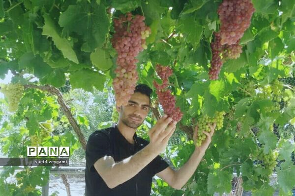 اولین مجموعه باغ نخبه استان فارس درشهر مشکان