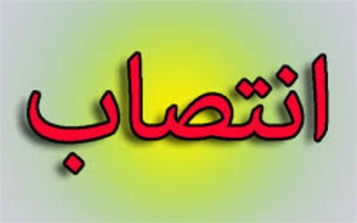 معاونان دفتر برنامه ریزی درسی و تولید بسته‌های تربیت و یادگیری فنی و حرفه ای و کاردانش منصوب شدند