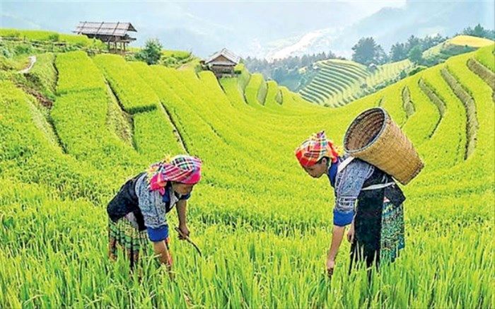 رونق روستاگردی از پنج مسیر