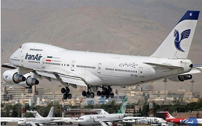 ماجرای پیاده شدن گوسفندان در بزرگترین فرودگاه ایران