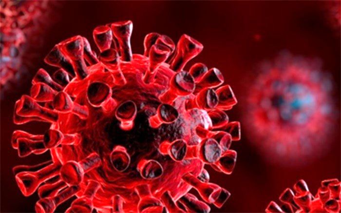 ۳۱۶ بیمار در بخش‌های کرونایی استان بوشهر بستری هستند