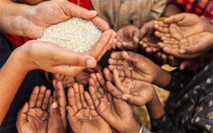 تامین غذای 9 میلیون نفر با جلوگیری از اتلاف محصولات کشاورزی