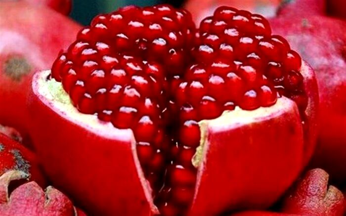 پیش بینی برداشت ۷۶ هزار تن انار در اصفهان