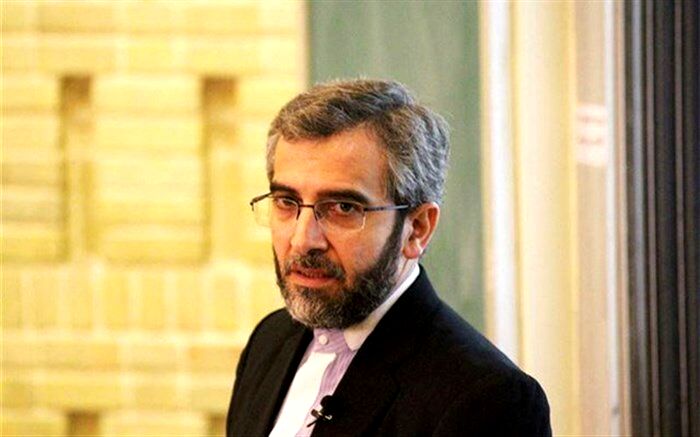 انتقاد باقری از گزارش گزارشگر حقوق بشر سازمان ملل درباره ایران