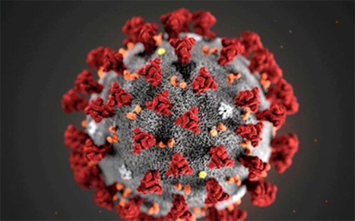 فوتی های کرونایی استان بوشهر به ۷۰۰ نفر رسید