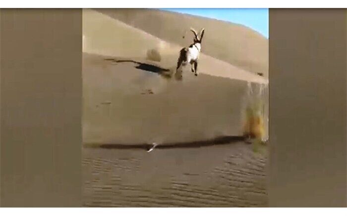 پرونده تخلف برای آفرود سواران مُخرب محیط زیست اصفهان تشکیل می‌شود