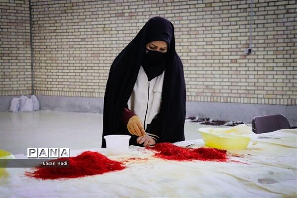 قرارگاه جهادگران اقتصادی زعفران