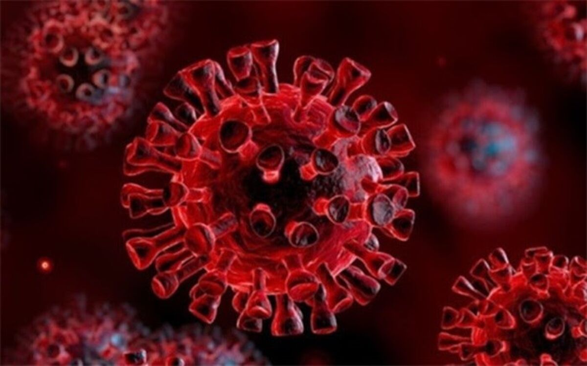 102بیمار جدید کرونایی در 24ساعت گذشته در البرز بستری شدند