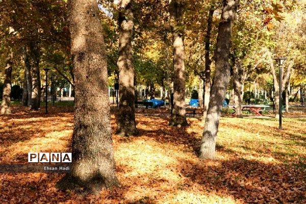 جلوه گری پاییز در مشهد