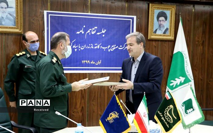 یک میلیون نهال در پروژه زراعت چوب مازندران کاشته می‌شود
