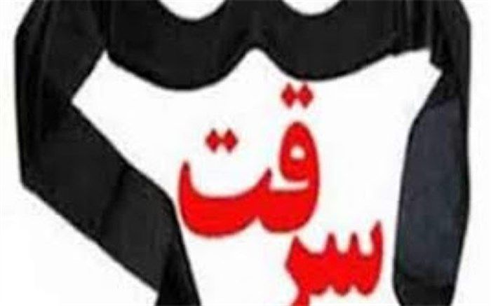 سرقت های سریالی بازیگر زن به تقلید از یک فیلم