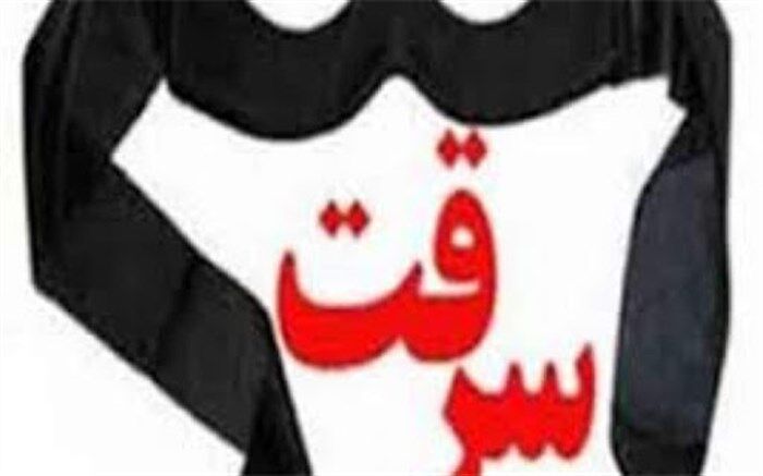 سرقت های سریالی بازیگر زن به تقلید از یک فیلم
