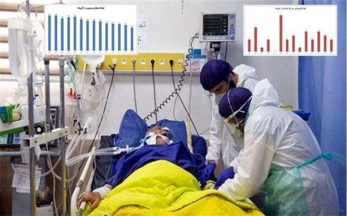 بستری ۳۰ درصد بیماران کرونایی در بیمارستانهای تامین اجتماعی