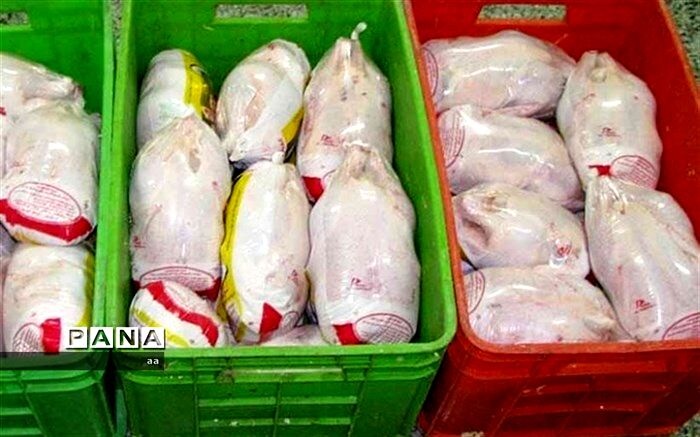جزئیات توزیع مرغ تنظیم بازاری در تهران