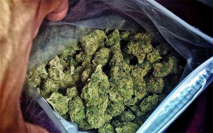 کشف بیش از یک کیلو گُل از مخفیگاه یکی از اراذل و اوباش پایتخت