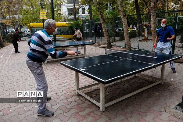 ورزش در پارک زیر سایه کرونا