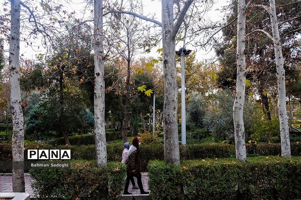 ورزش در پارک زیر سایه کرونا