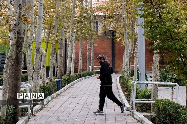 ورزش در پارک زیر سایه کرونا