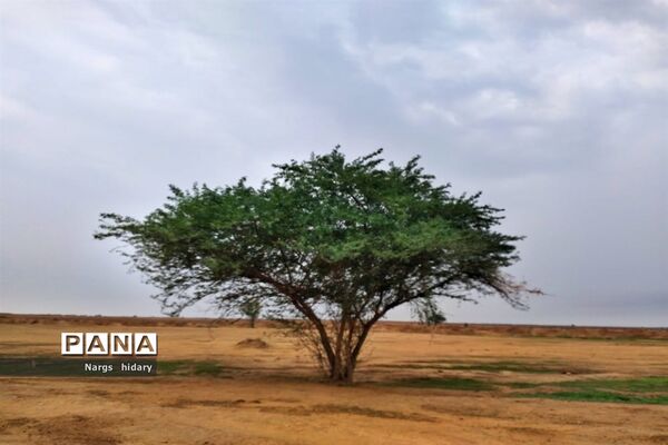 سفر یک‌روزه به روستاهای اطراف امیدیه