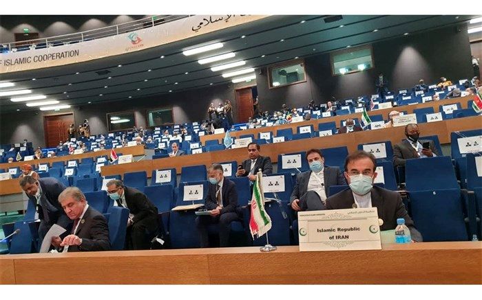 مدیرکل صلح وزارت خارجه : هرگونه تعامل با رژیم صهیونیستی خیانت است