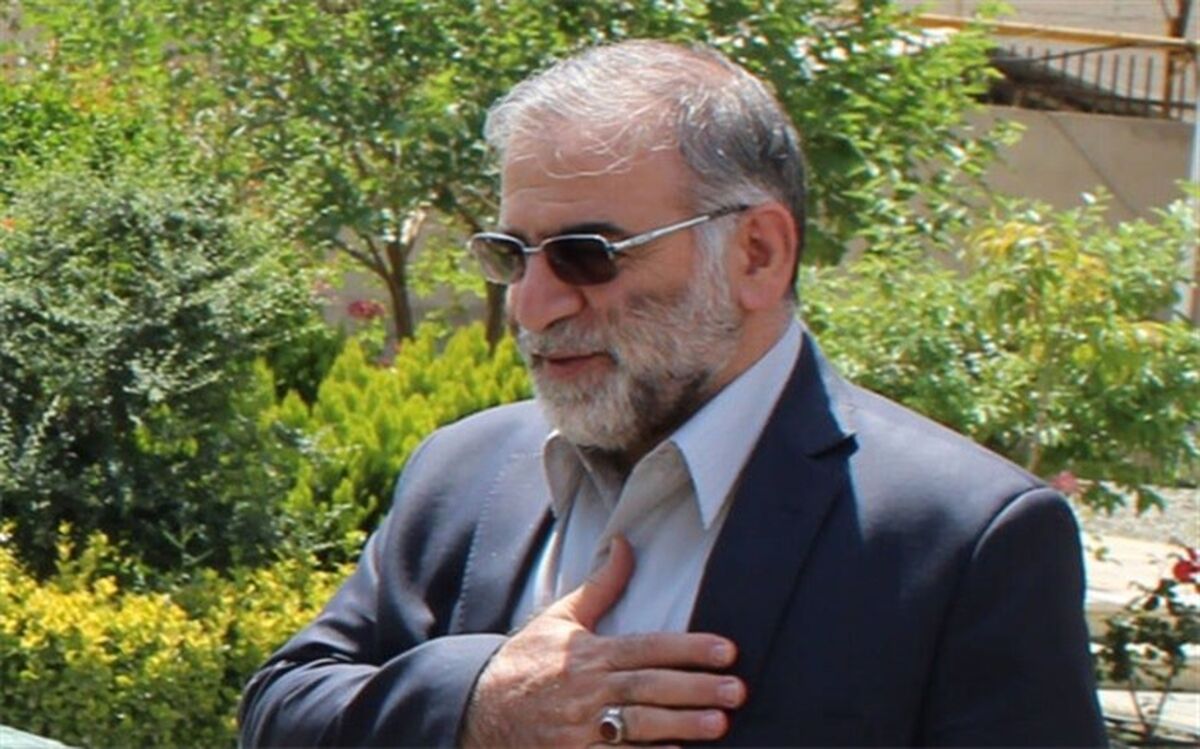 زندگینامه شهید محسن فخری‌زاده