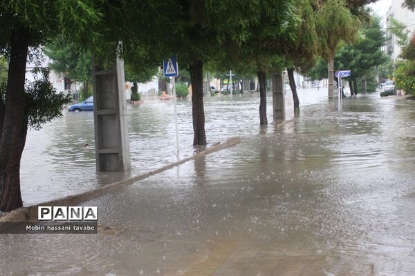 بارش شدید باران در بوشهر