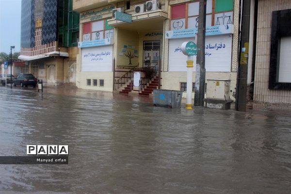 بارش شدید باران در بوشهر