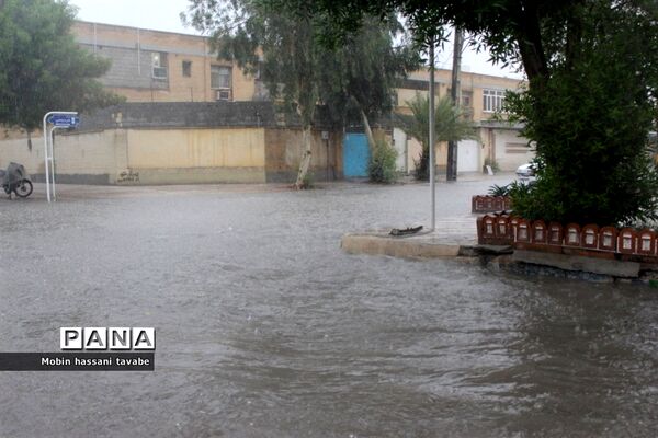 بارش شدید باران در بوشهر