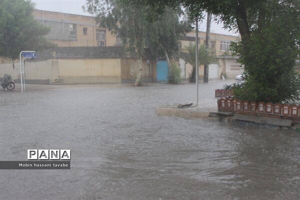 بارش شدید باران در بوشهر