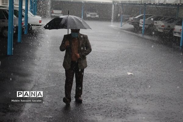 بارش شدید باران در بوشهر