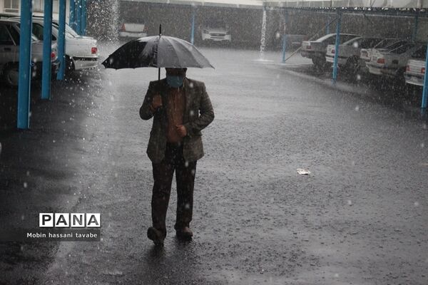 بارش شدید باران در بوشهر