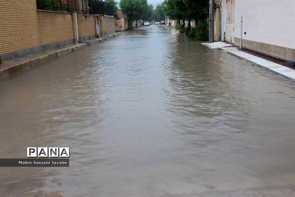 بارش شدید باران در بوشهر