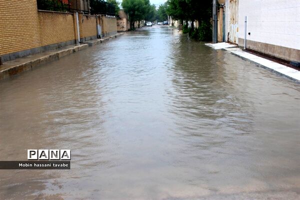 بارش شدید باران در بوشهر