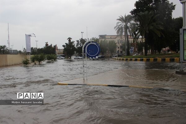 بارش شدید باران در بوشهر