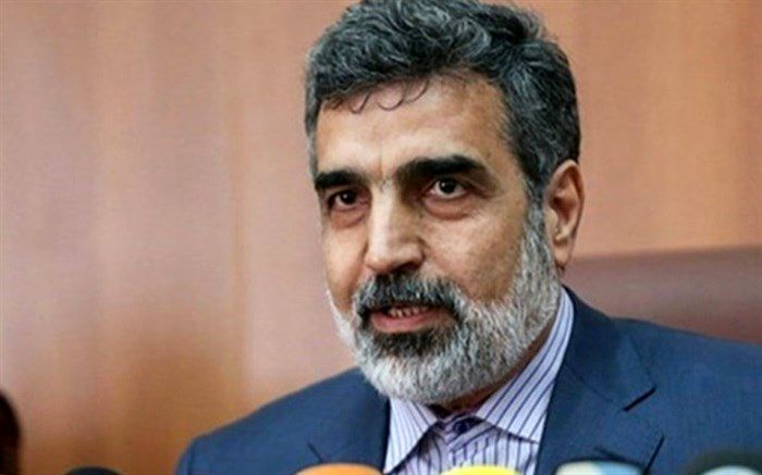 تکذیب هرگونه دیدار شهید فخری‌زاده با بازرسان آژانس