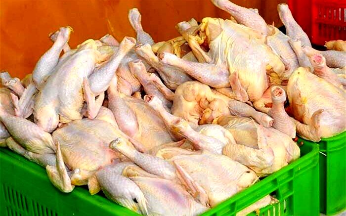 ایجاد هماهنگی با وزارت صمت برای توزیع مرغ در اصناف