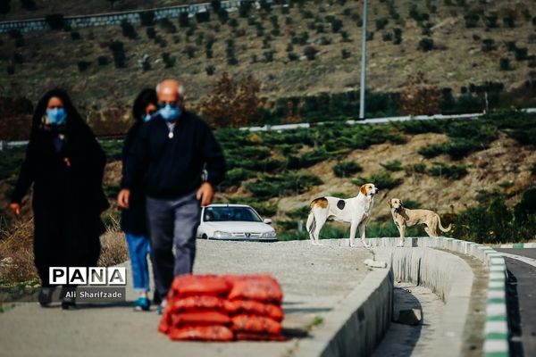 آلودگی هوای تهران
